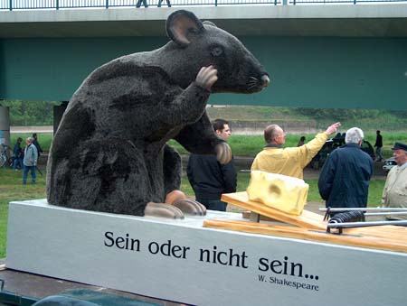 weserwiesen19