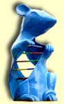 Rat-DNA